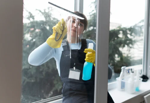 Nettoyage de vitres intérieures et extérieures à Montcey